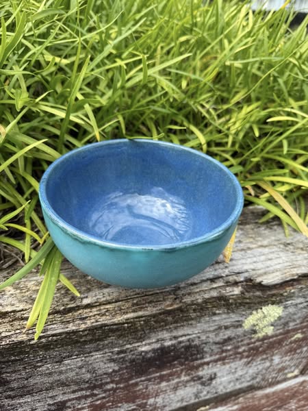 Blue ceramic bowl on a wooden surface with green foliage in the background