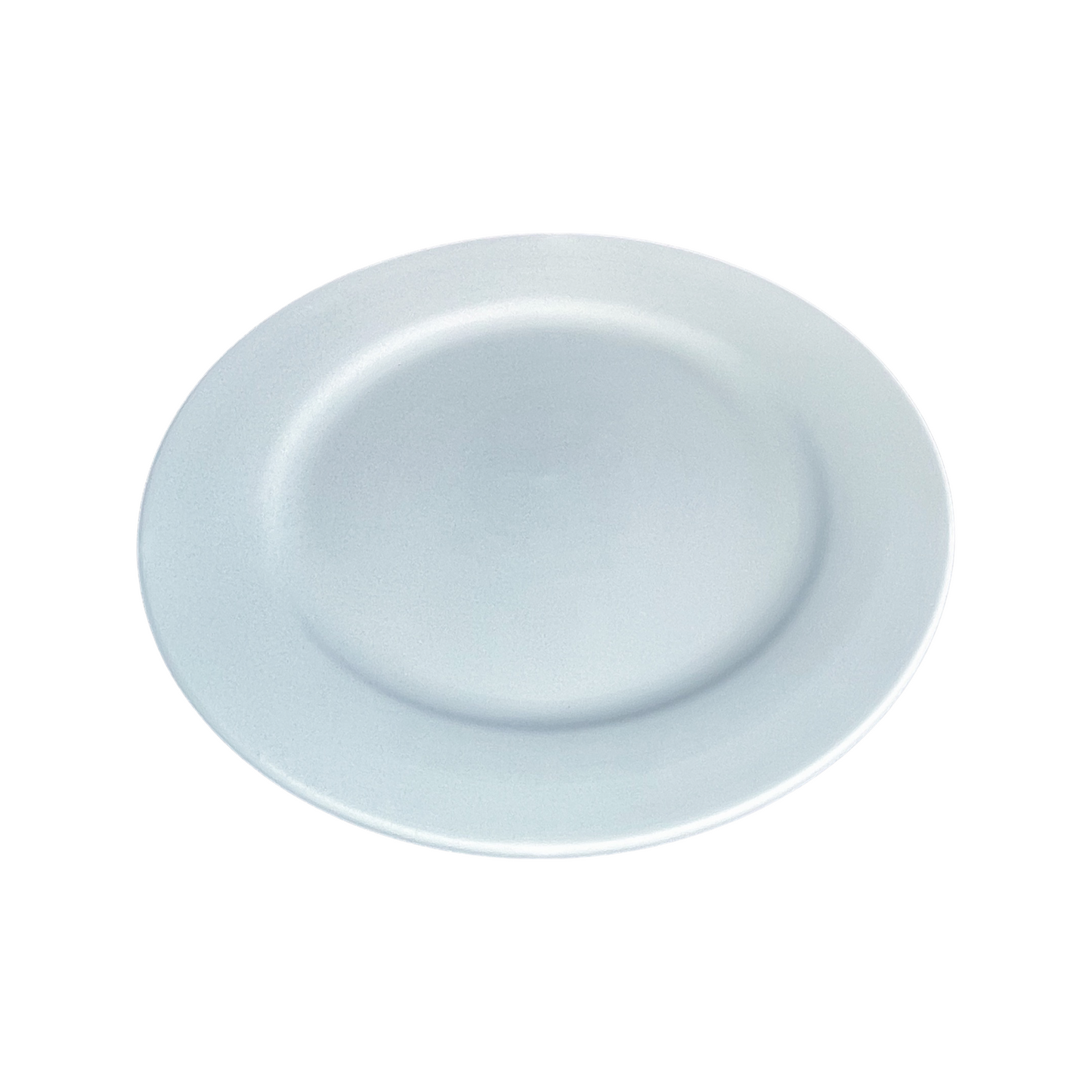 Rimmed Lunch Plate